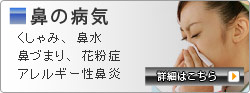 鼻の病気 アレルギー性鼻炎 花粉症